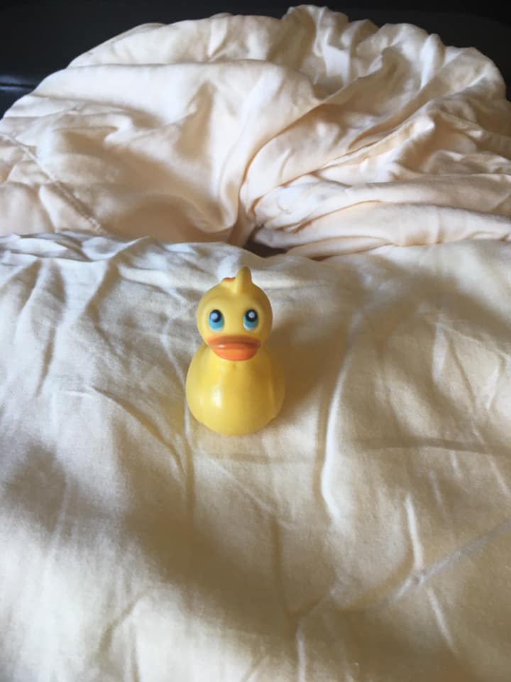 Healthy Living with Happy Ducts